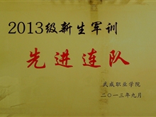 2013級新生軍訓(xùn)先進(jìn)連隊(duì)